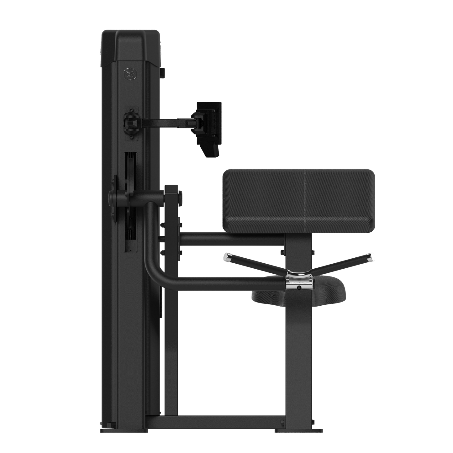 Forza Bold Biceps 02