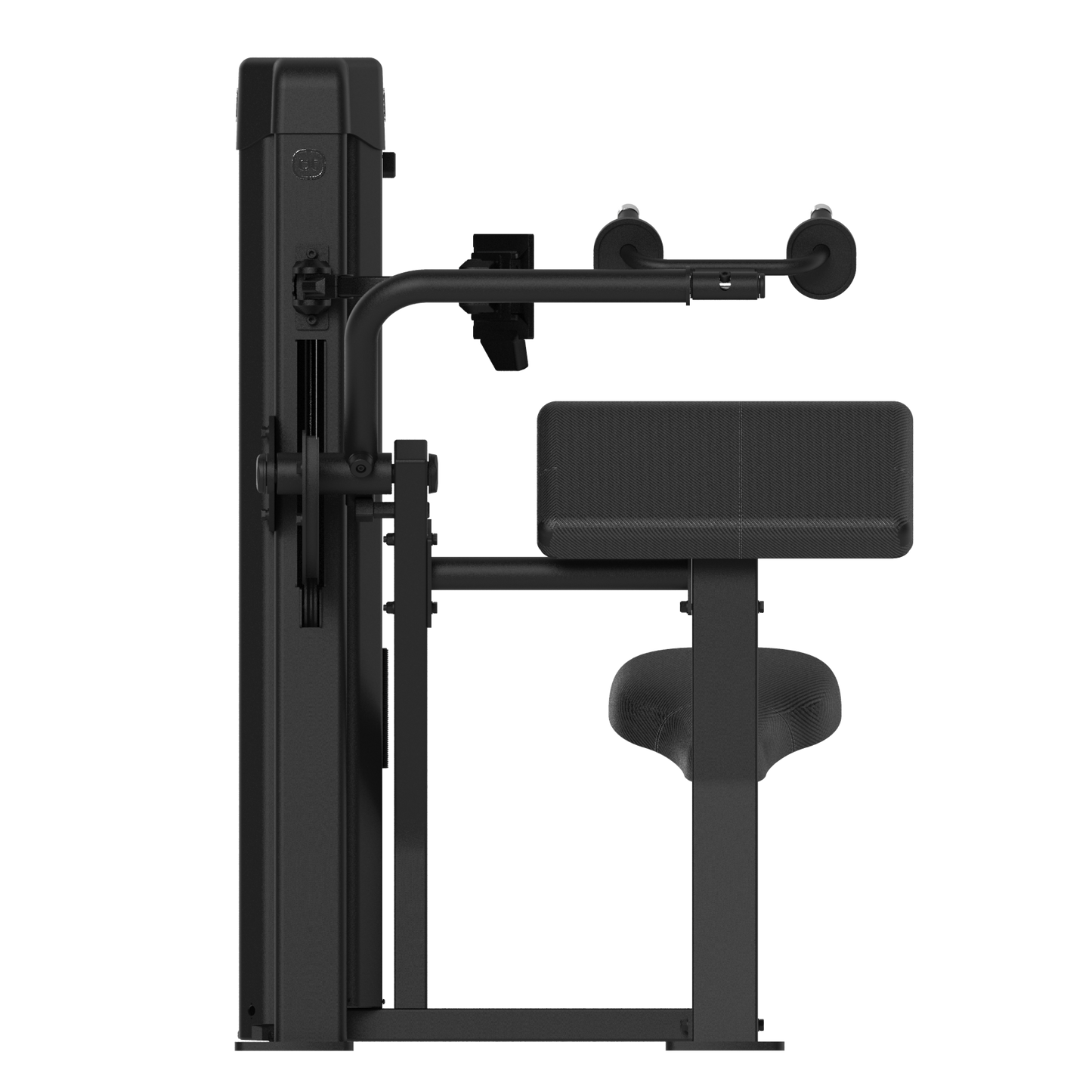 Forza Bold Triceps 04