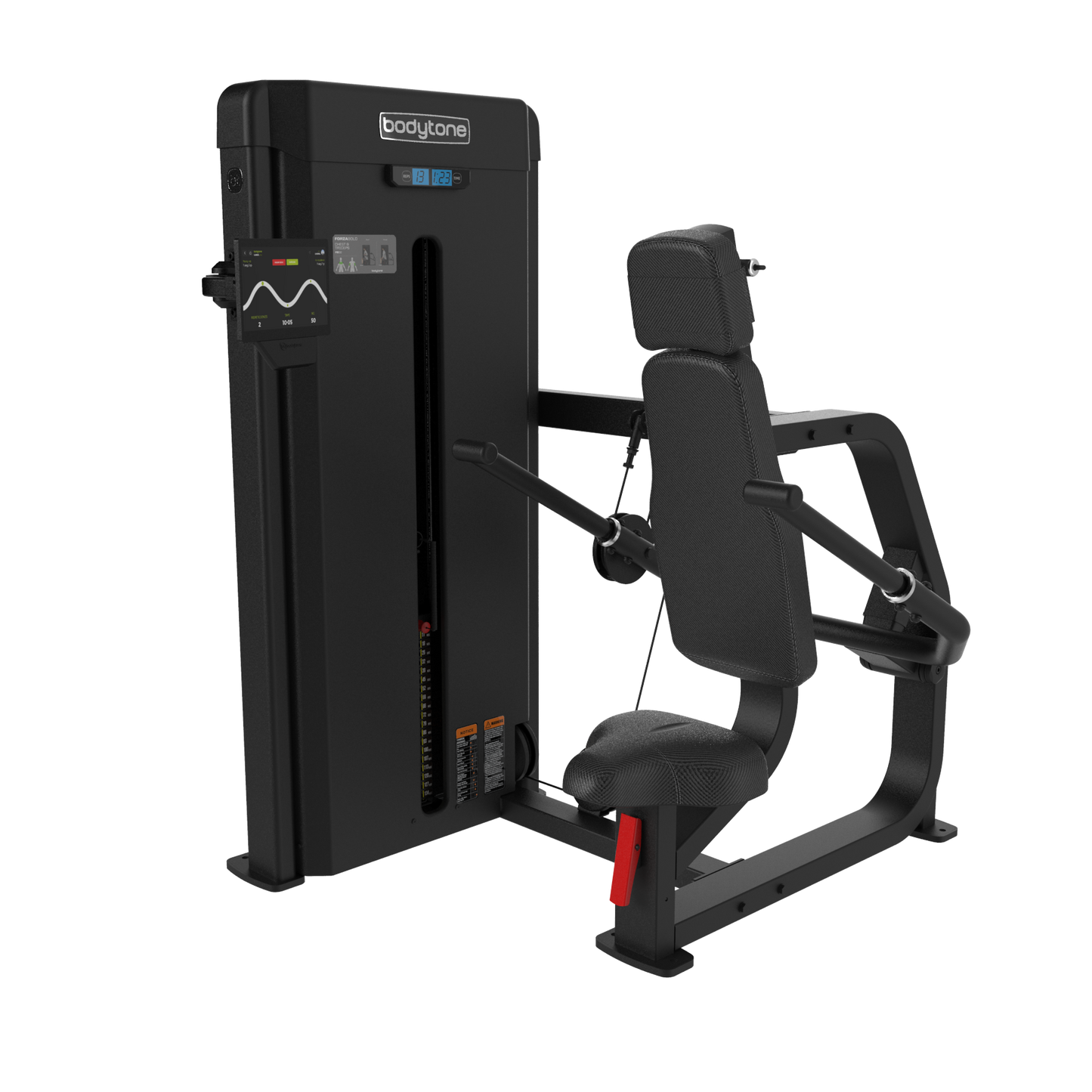 Forza Bold Chest and triceps 02