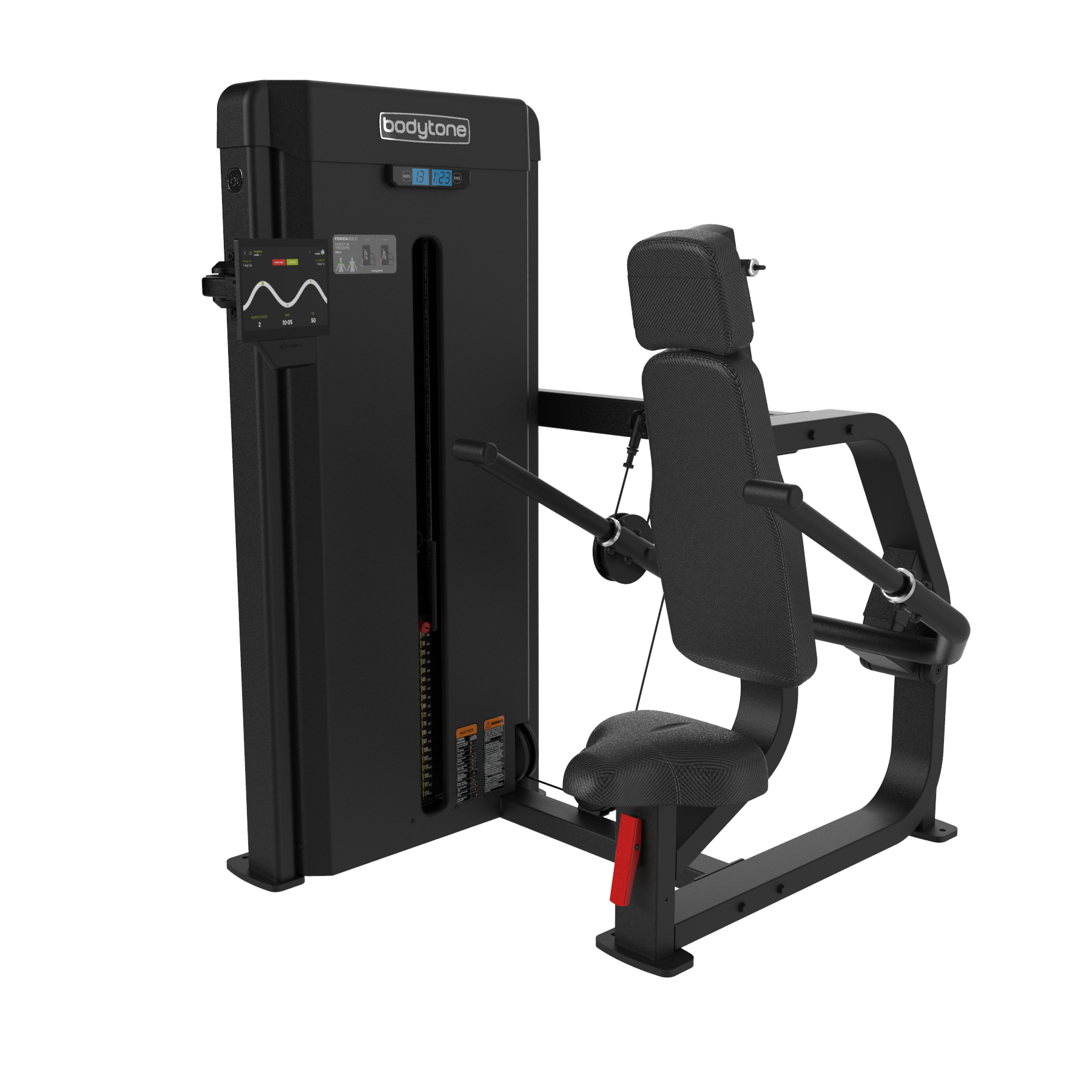 Forza Bold Chest and triceps 02