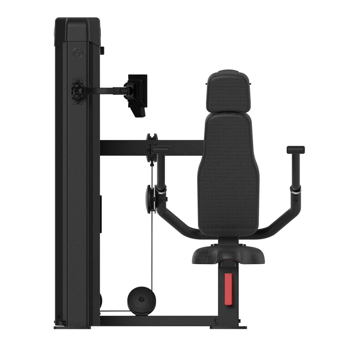 Forza Bold Chest and triceps 03