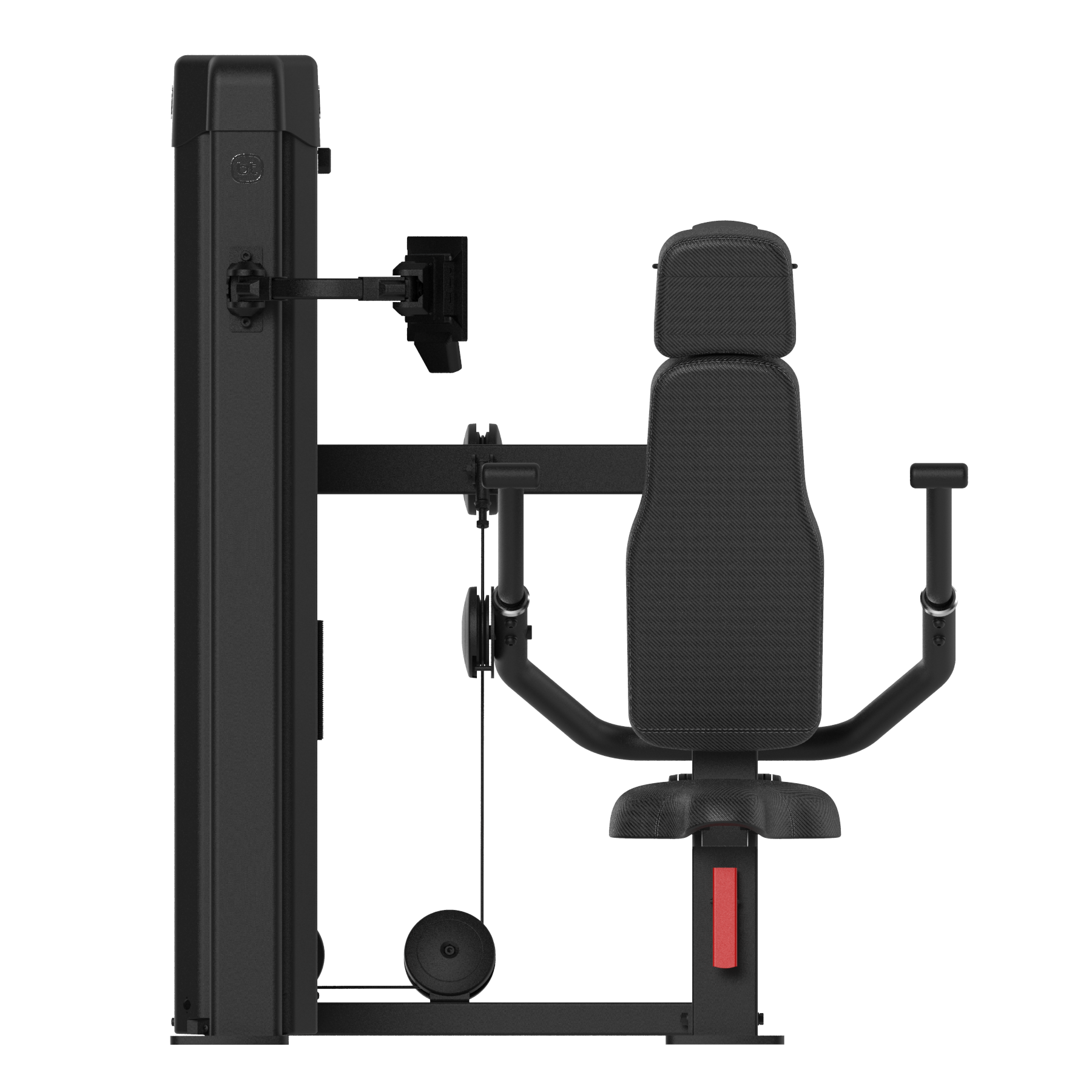 Forza Bold Chest and triceps 03