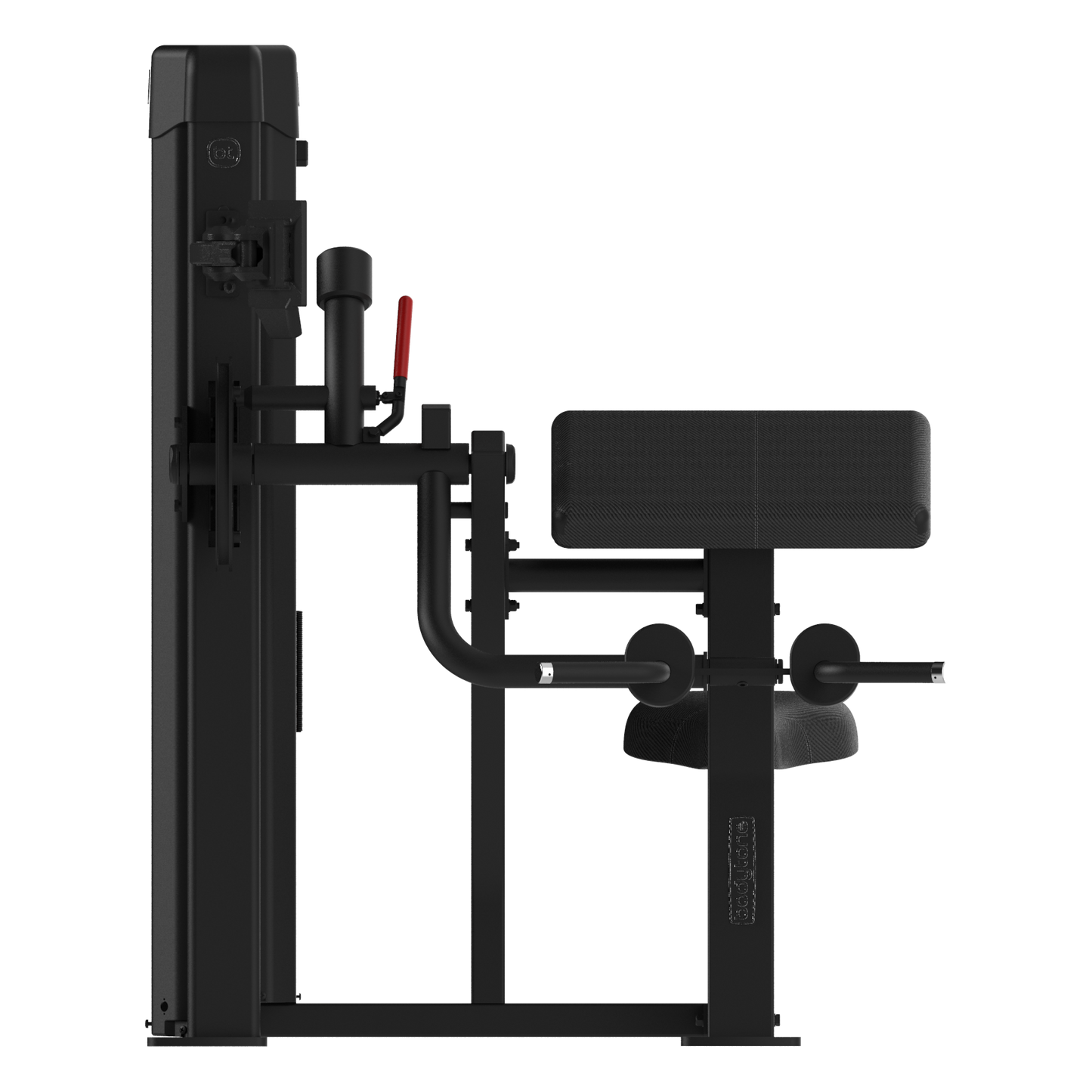 Forza Bold Biceps / Triceps dual