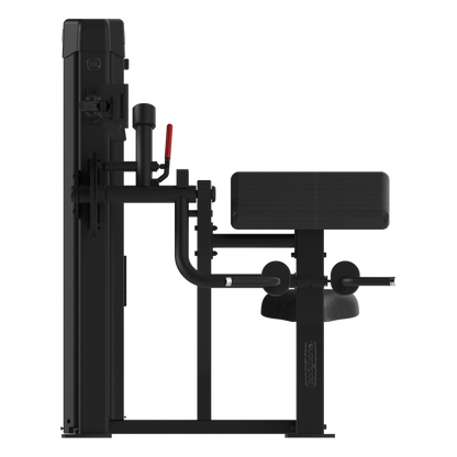 Forza Bold Biceps / Triceps dual