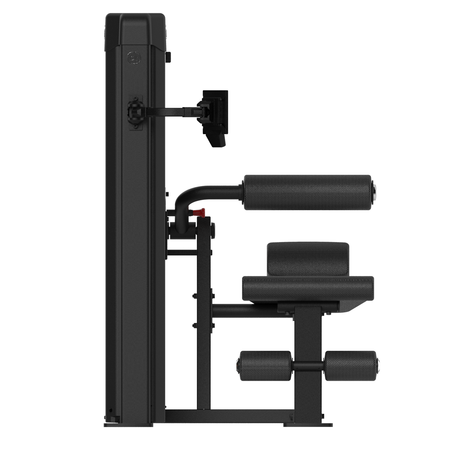 Forza Bold Abdominal 04