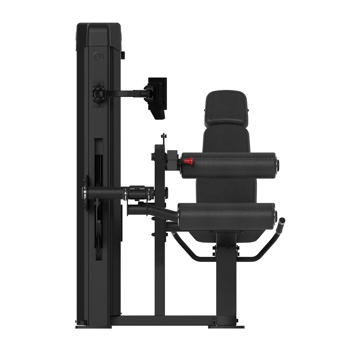 Forza Bold Seated leg curl 04