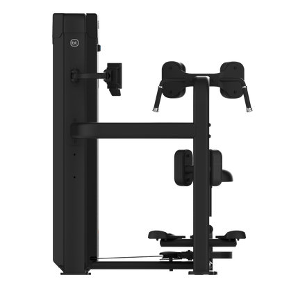 Forza Hero rotadora del tronco 03