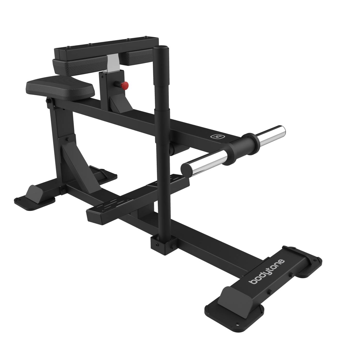 Seated Calf
