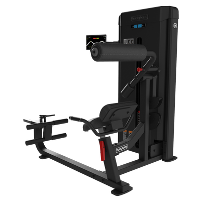 Forza Bold AB / Back Extension dual