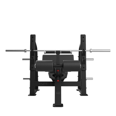 Olympic Decline Bench