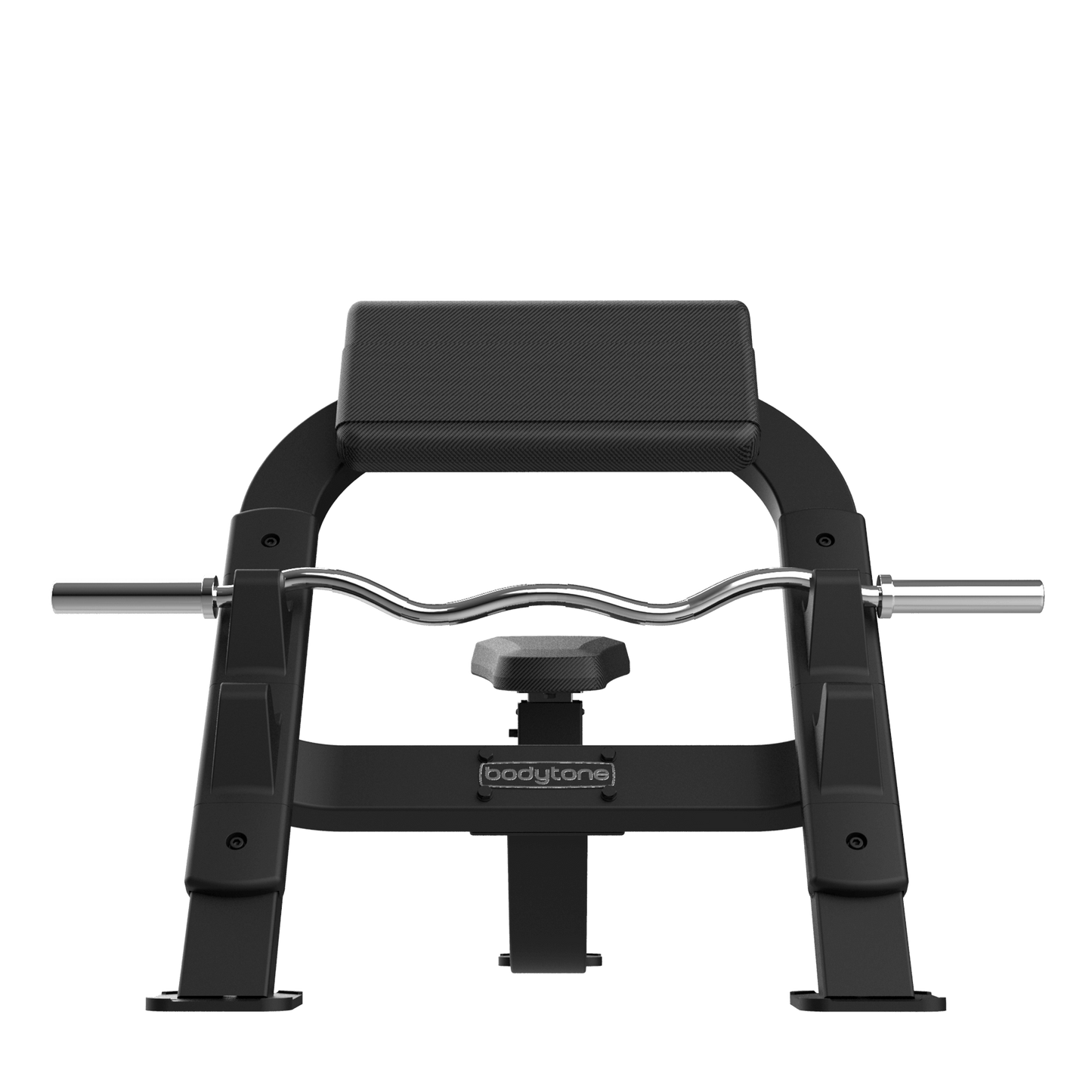 Biceps Bench