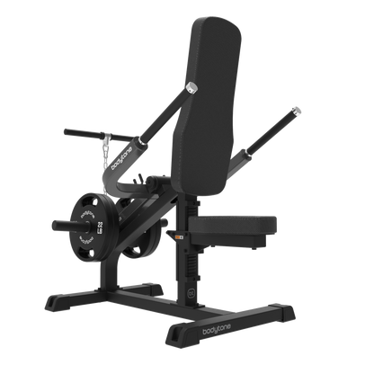 Solid Grow Biceps / Triceps