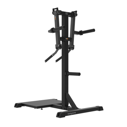 Solid Grow Standing Lateral Raise